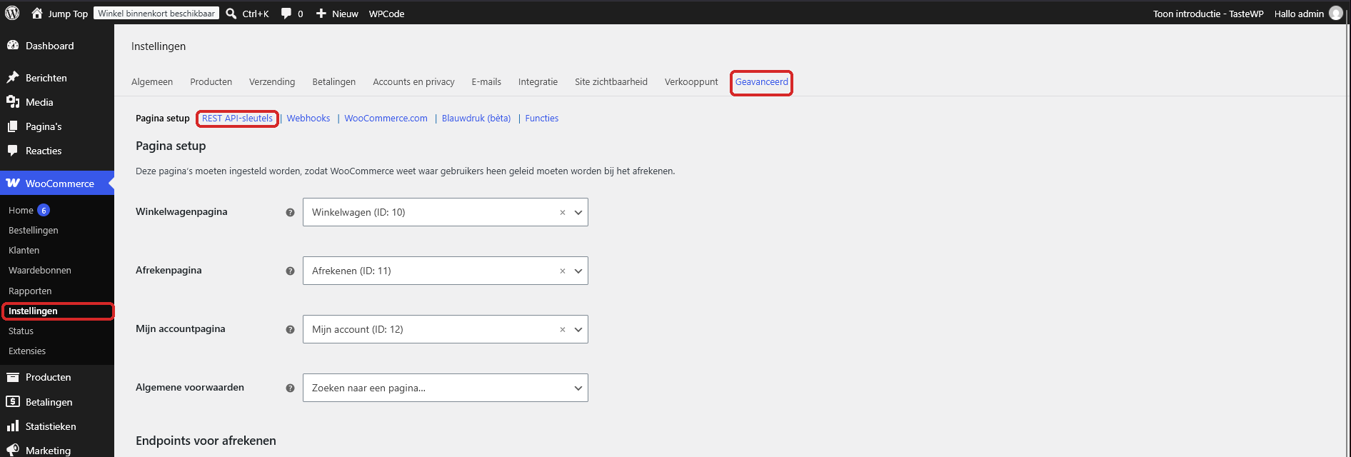 Het tabblad Geavanceerd met het linkje REST API-sleutels